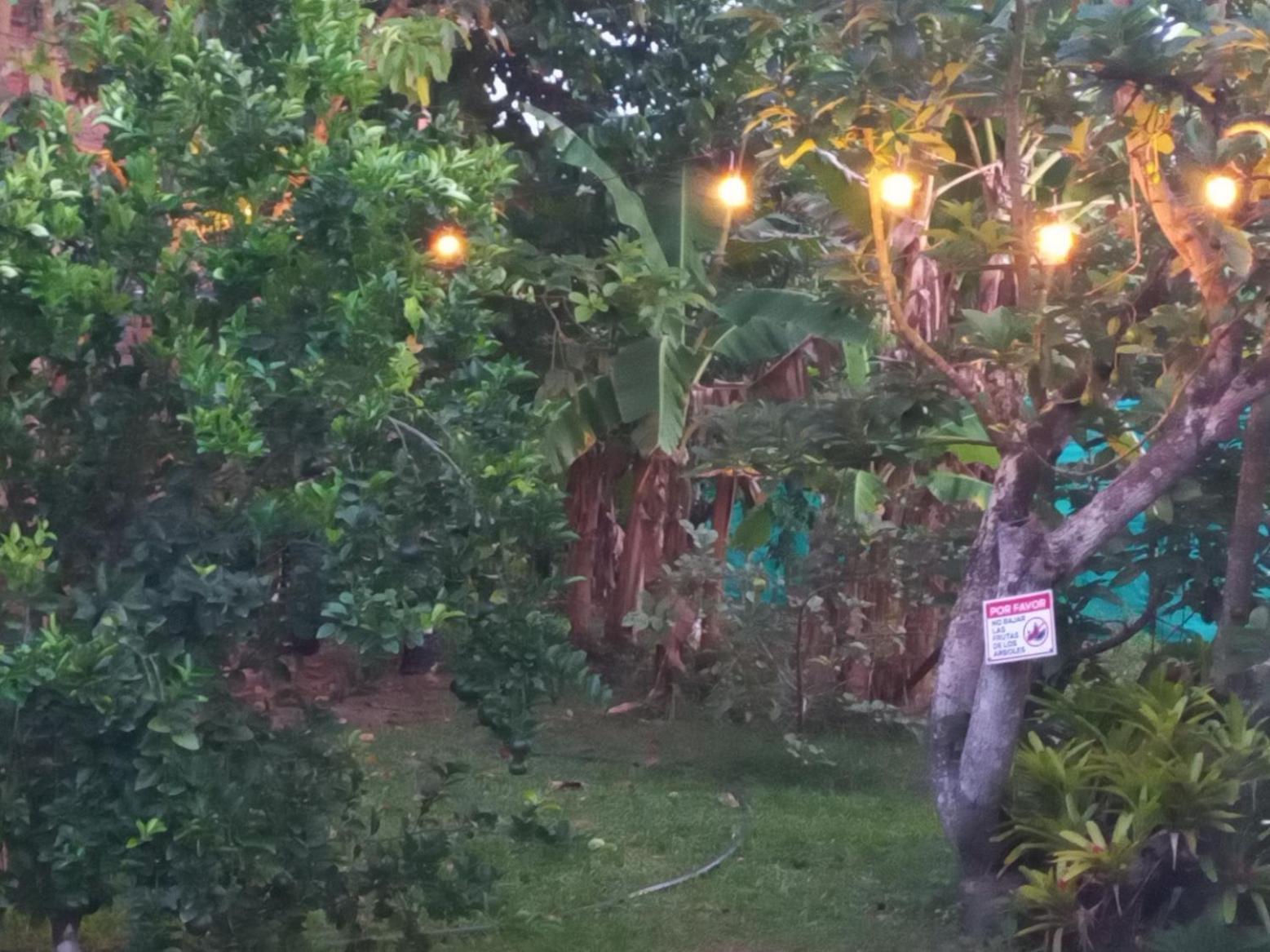 Las Orquideas Rozo Kültér fotó